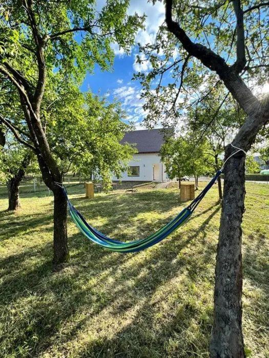 Pensiunea Rnb Maramures Surdesti  Exterior foto