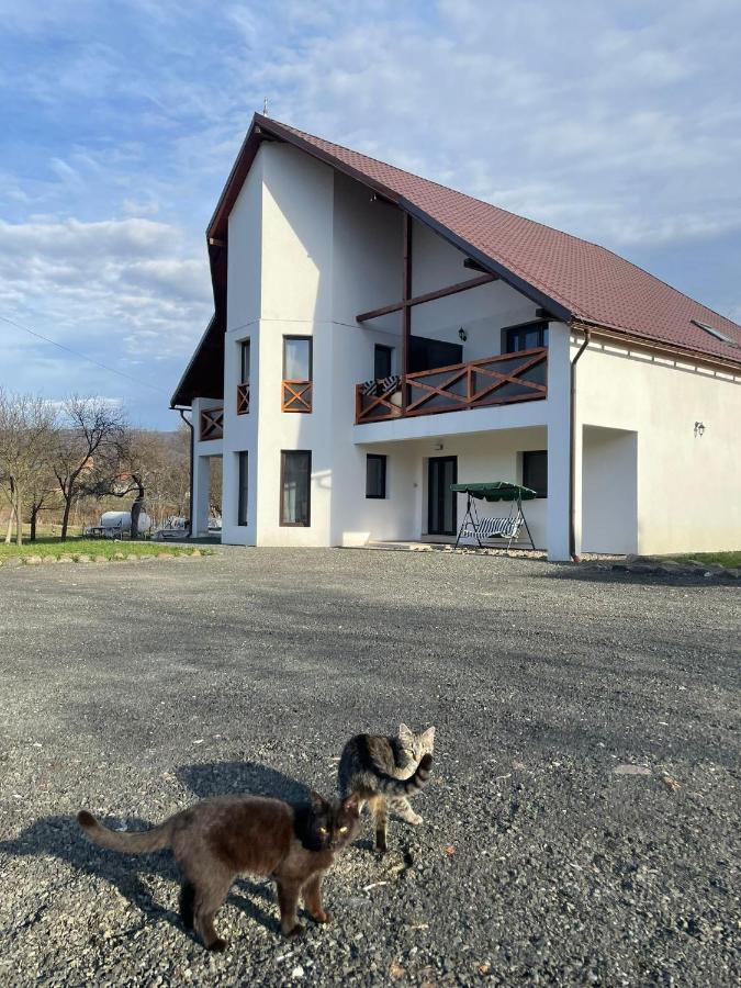 Pensiunea Rnb Maramures Surdesti  Exterior foto
